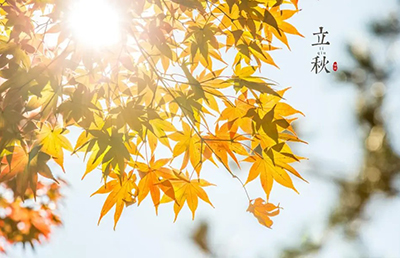 立秋養(yǎng)生：順應(yīng)時(shí)節(jié)，調(diào)養(yǎng)身心